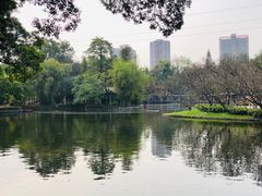 -晓港公园