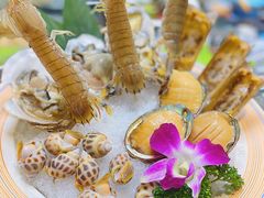 -金龙·打边炉(南京西路店)