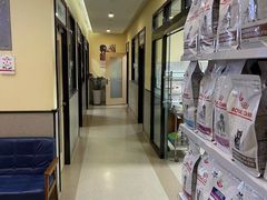 -爱派特动物医院·全科诊疗中心