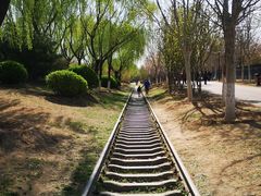 -永定河休闲森林公园