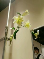 -BENSON沙龙