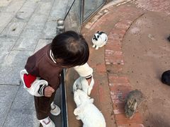 -鄂尔多斯野生动物园