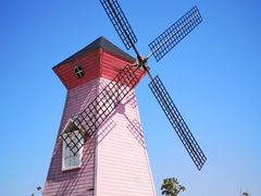 -洪湖湿地生态园