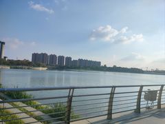 -映月湖中央公园