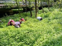 -西湖风景区-江洋畈生态公园