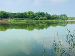 -大兴滨河森林公园