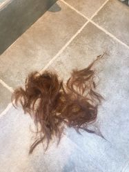 -Moyue HAIR SALON