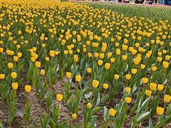 -长春公园(普阳街道)