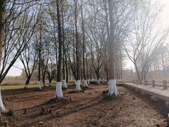 -长广溪湿地公园