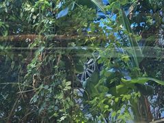 -晋江荣誉国际酒店·港誉茶餐厅