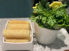 -百年果林椰子鸡(益田假日里店)