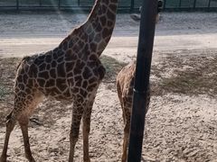 -鄂尔多斯野生动物园