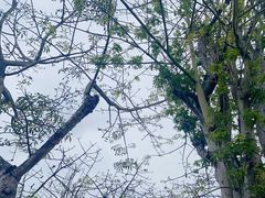 -三亚南山文化旅游区