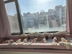 -安悦贝月子中心