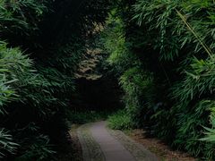 -南山风景名胜区