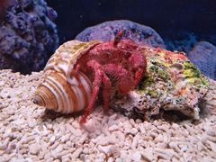 -水上乐园·欢乐世界