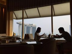 -新加坡丽思卡尔顿美年酒店