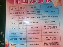 -老袁家蜜桃农场·阳山水蜜桃