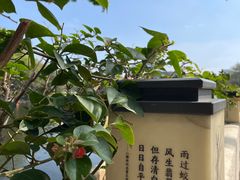 -深圳龙潭公园