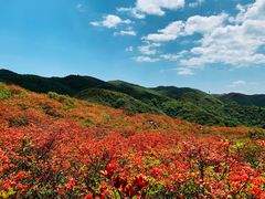-大围山国家森林公园