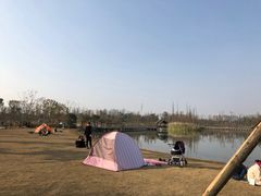 -白鹭湾湿地公园