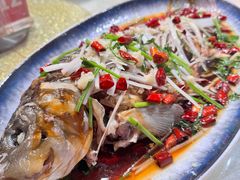 -崂山水果园农家宴(泉水鸡店)