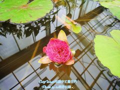 -北京植物园-展览温室