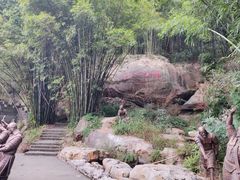 -铁山坪森林公园