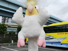 -台场海滨公园船码头