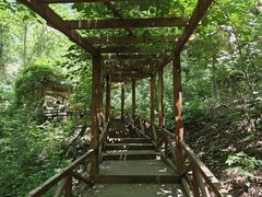 -大岭沟猕猴桃谷风景区