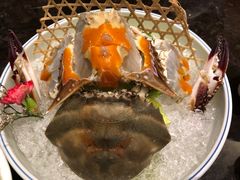 -高佳庄·海鲜酒楼(东港店)
