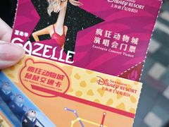 -上海迪士尼度假区