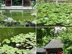 -南京东郊国宾馆