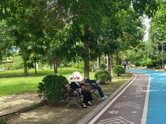 -太阳宫公园
