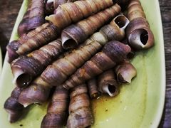 -贞姨美食·老字号海鲜大排档