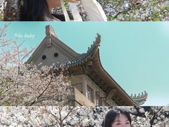 -武汉大学校门牌坊