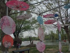 -祥源·阜阳生态乐园