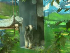 -青藏高原野生动物园