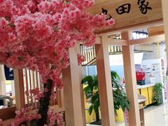 大堂-九田家黑牛烤肉料理(衡百国际店)