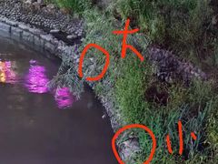 -苏州河梦清园环保主题公园