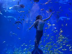 -太平洋海底世界