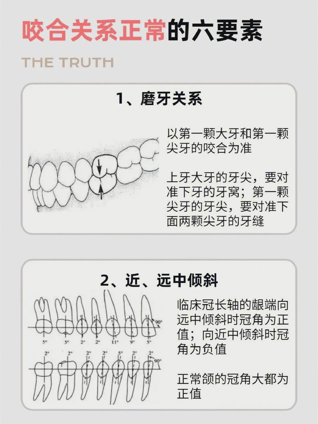 大连口腔健康科普|牙齿咬合关系正常的6要素!建议收藏起来