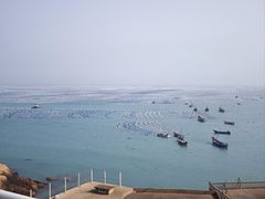 -枸杞岛