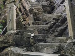 -水濂山森林公园