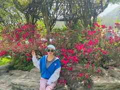 -木兰云雾山