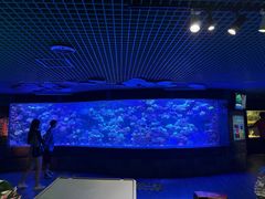 -太平洋海底世界