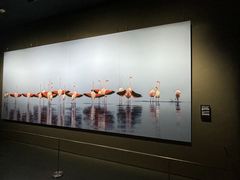 -罗红摄影艺术馆