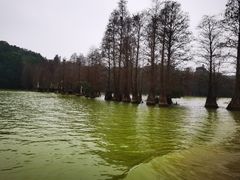 -星湖旅游景区七星岩