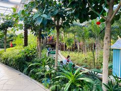 -南宫五洲植物乐园