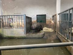 -无锡动物园·太湖欢乐园